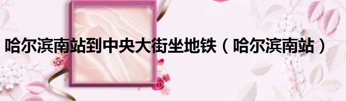 哈尔滨南站到中央大街坐地铁（哈尔滨南站）