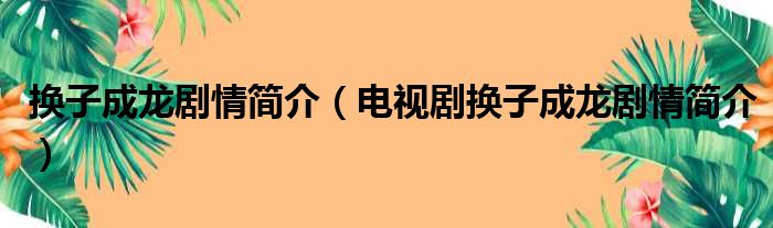 换子成龙剧情简介（电视剧换子成龙剧情简介）