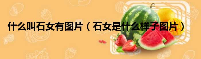 什么叫石女有图片（石女是什么样子图片）