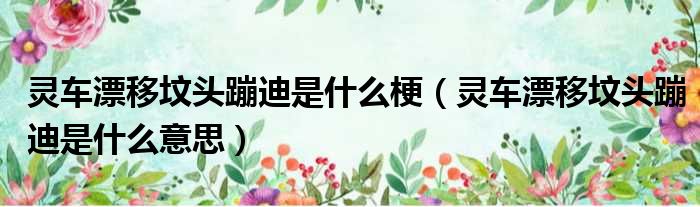 灵车漂移坟头蹦迪是什么梗（灵车漂移坟头蹦迪是什么意思）