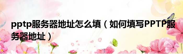 pptp服务器地址怎么填（如何填写PPTP服务器地址）