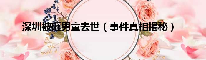深圳被砸男童去世（事件真相揭秘）