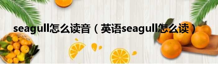 seagull怎么读音（英语seagull怎么读）