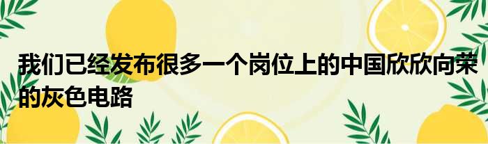 我们已经发布很多一个岗位上的中国欣欣向荣的灰色电路