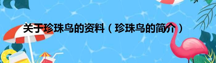 关于珍珠鸟的资料（珍珠鸟的简介）