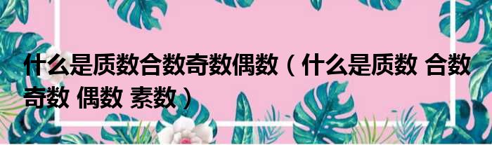 什么是质数合数奇数偶数（什么是质数 合数 奇数 偶数 素数）