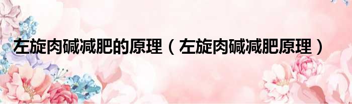 左旋肉碱减肥的原理（左旋肉碱减肥原理）