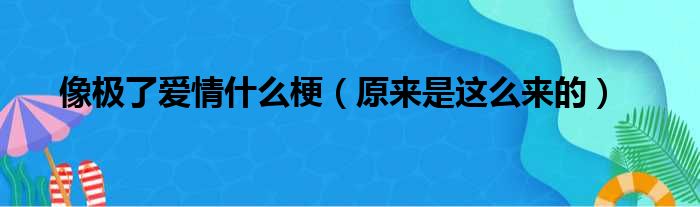 像极了爱情什么梗（原来是这么来的）