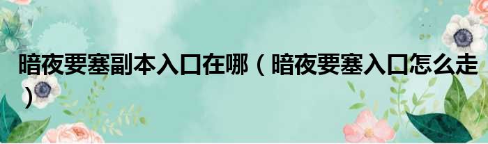 暗夜要塞副本入口在哪（暗夜要塞入口怎么走）