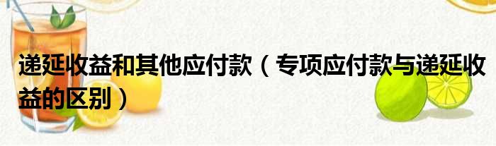 递延收益和其他应付款（专项应付款与递延收益的区别）