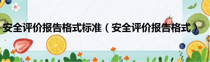 安全评价报告格式标准（安全评价报告格式）