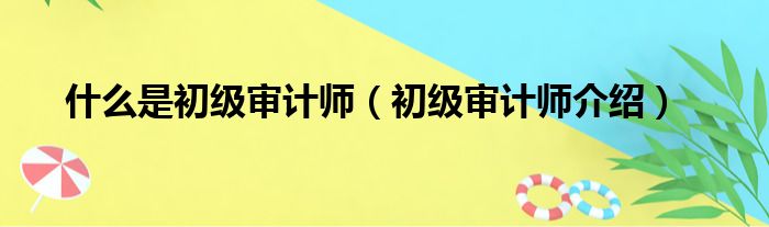 什么是初级审计师（初级审计师介绍）