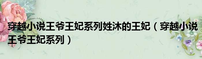 穿越小说王爷王妃系列姓沐的王妃（穿越小说王爷王妃系列）