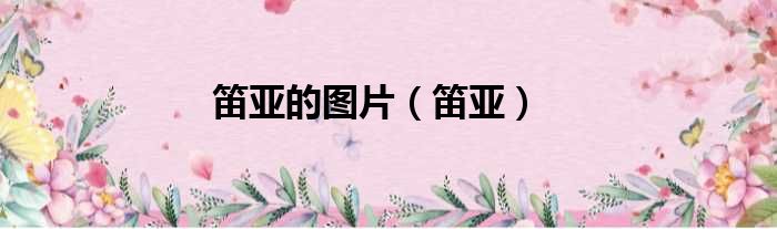 笛亚的图片（笛亚）