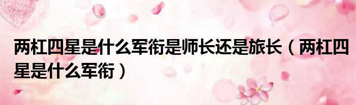 两杠四星是什么军衔是师长还是旅长（两杠四星是什么军衔）