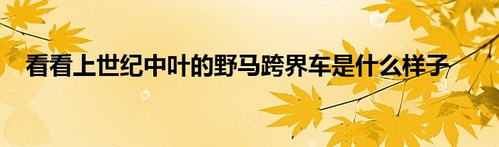 看看上世纪中叶的野马跨界车是什么样子