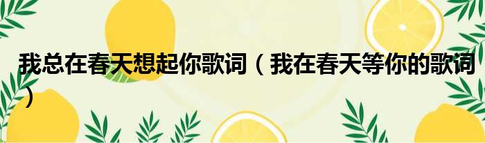 我总在春天想起你歌词（我在春天等你的歌词）