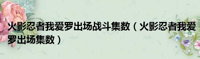 火影忍者我爱罗出场战斗集数（火影忍者我爱罗出场集数）