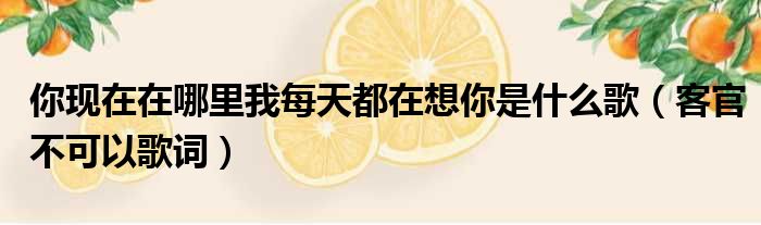 你现在在哪里我每天都在想你是什么歌（客官不可以歌词）