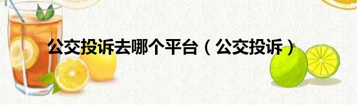 公交投诉去哪个平台（公交投诉）