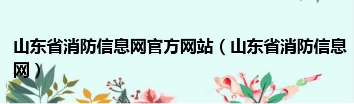 山东省消防信息网官方网站（山东省消防信息网）