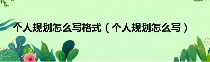 个人规划怎么写格式（个人规划怎么写）