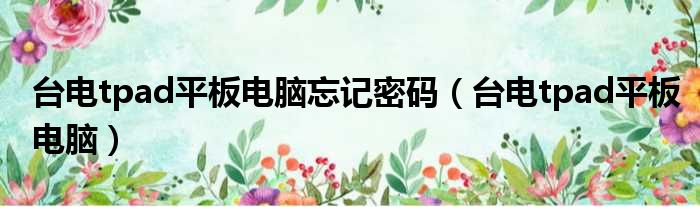 台电tpad平板电脑忘记密码（台电tpad平板电脑）