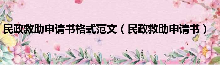 民政救助申请书格式范文（民政救助申请书）