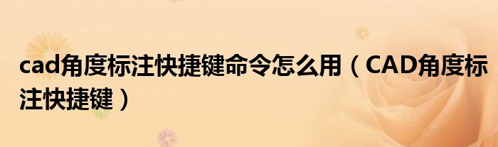 cad角度标注快捷键命令怎么用（CAD角度标注快捷键）