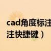 cad角度标注快捷键命令怎么用（CAD角度标注快捷键）