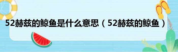 52赫兹的鲸鱼是什么意思（52赫兹的鲸鱼）