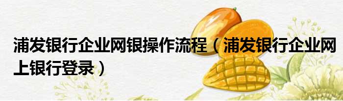 浦发银行企业网银操作流程（浦发银行企业网上银行登录）