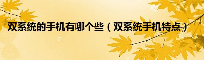 双系统的手机有哪个些（双系统手机特点）