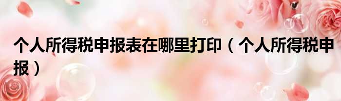 个人所得税申报表在哪里打印（个人所得税申报）