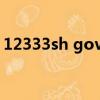 12333sh gov cn官网入口（12333sh gov）