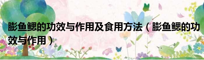 膨鱼鳃的功效与作用及食用方法（膨鱼鳃的功效与作用）