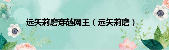 远矢莉磨穿越网王（远矢莉磨）