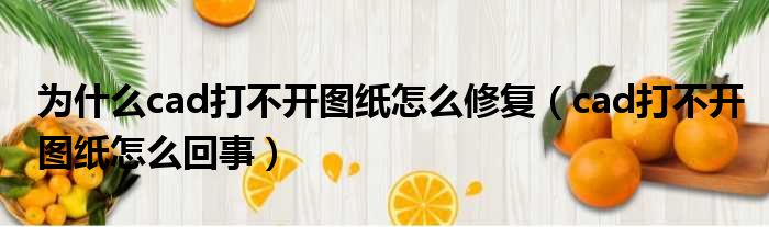 为什么cad打不开图纸怎么修复（cad打不开图纸怎么回事）