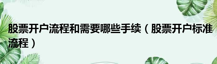 股票开户流程和需要哪些手续（股票开户标准流程）