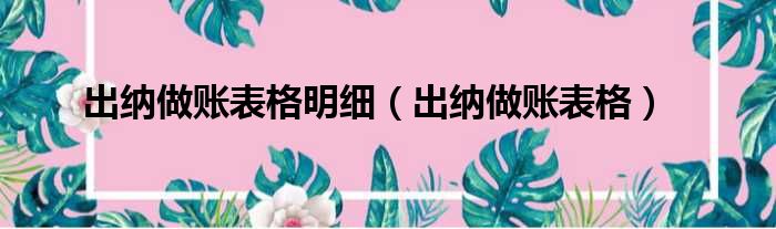 出纳做账表格明细（出纳做账表格）