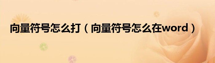 向量符号怎么打（向量符号怎么在word）