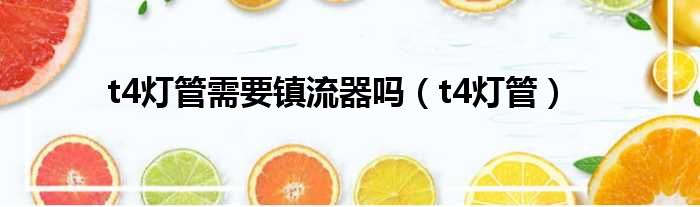 t4灯管需要镇流器吗（t4灯管）