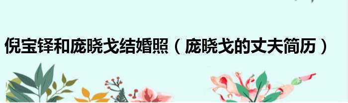 倪宝铎和庞晓戈结婚照（庞晓戈的丈夫简历）