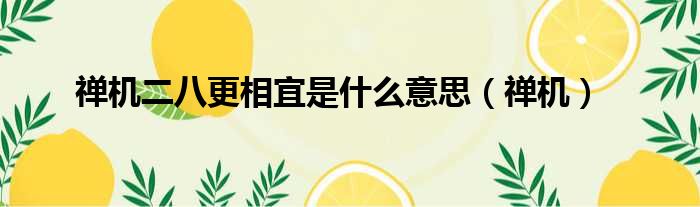 禅机二八更相宜是什么意思（禅机）