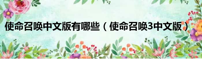 使命召唤中文版有哪些（使命召唤3中文版）