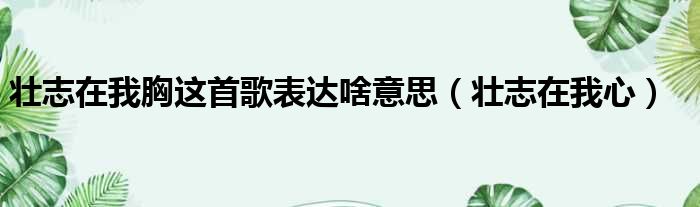 壮志在我胸这首歌表达啥意思（壮志在我心）