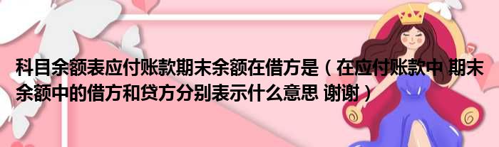 科目余额表应付账款期末余额在借方是（在应付账款中 期末余额中的借方和贷方分别表示什么意思 谢谢）