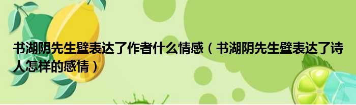 书湖阴先生壁表达了作者什么情感（书湖阴先生壁表达了诗人怎样的感情）