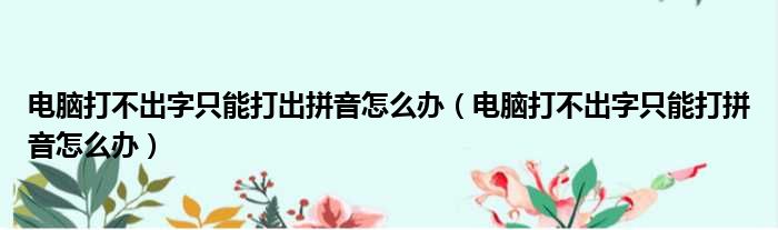 电脑打不出字只能打出拼音怎么办（电脑打不出字只能打拼音怎么办）