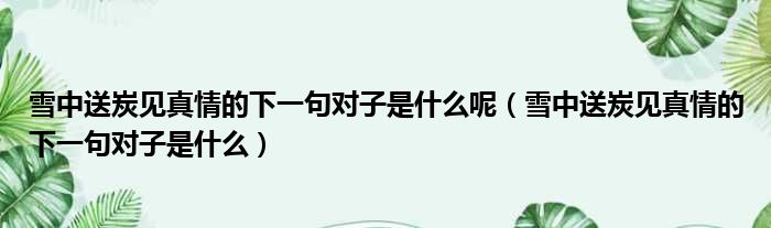 雪中送炭见真情的下一句对子是什么呢（雪中送炭见真情的下一句对子是什么）